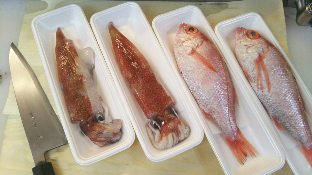 さかなや魚勝　横浜市青葉区藤ヶ丘　鮮度抜群の美味しい魚　本日の鮮魚